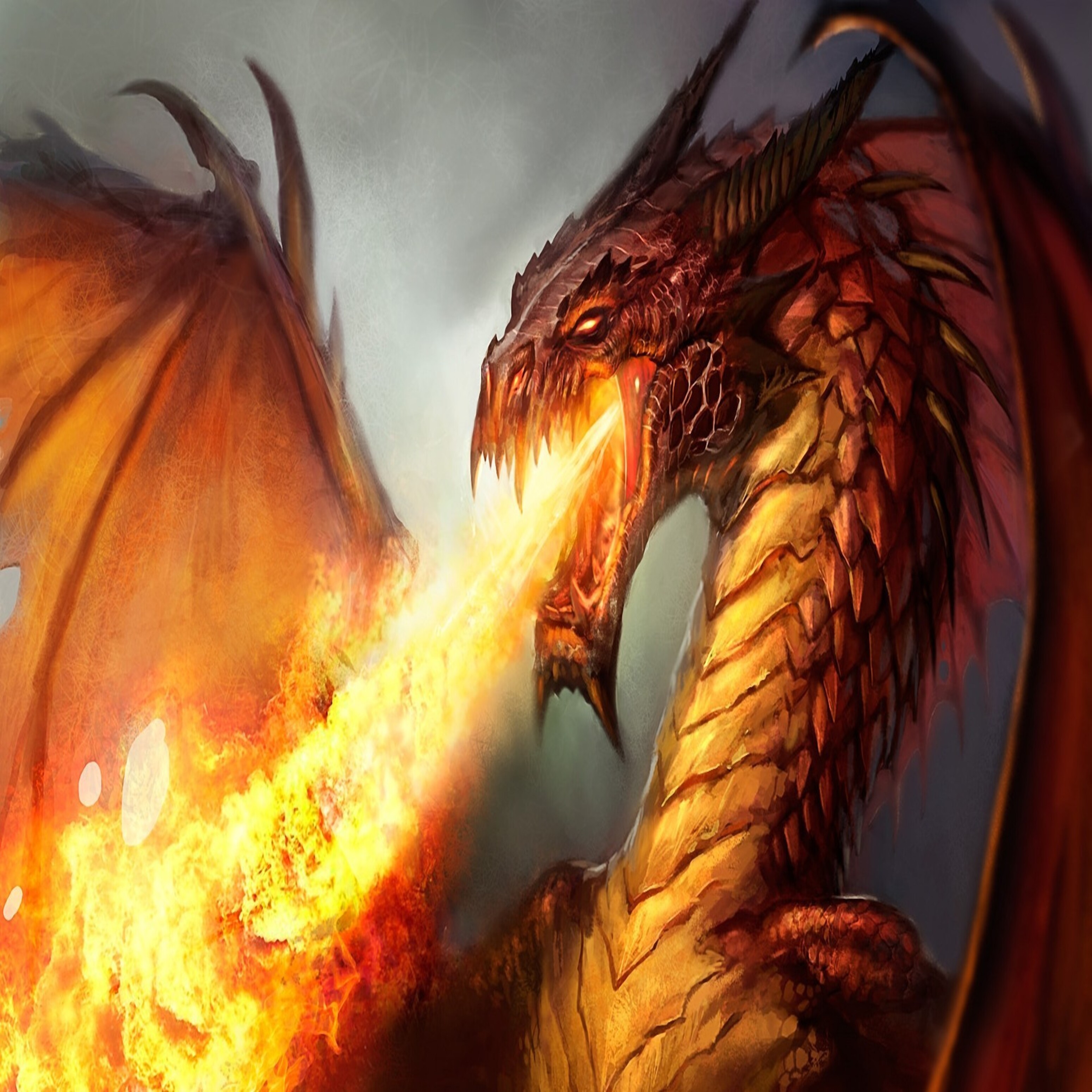 Мощь драконов. Огненный дракон. Огнедышащий дракон. Красивый Огненный дракон. Дракон в огне.